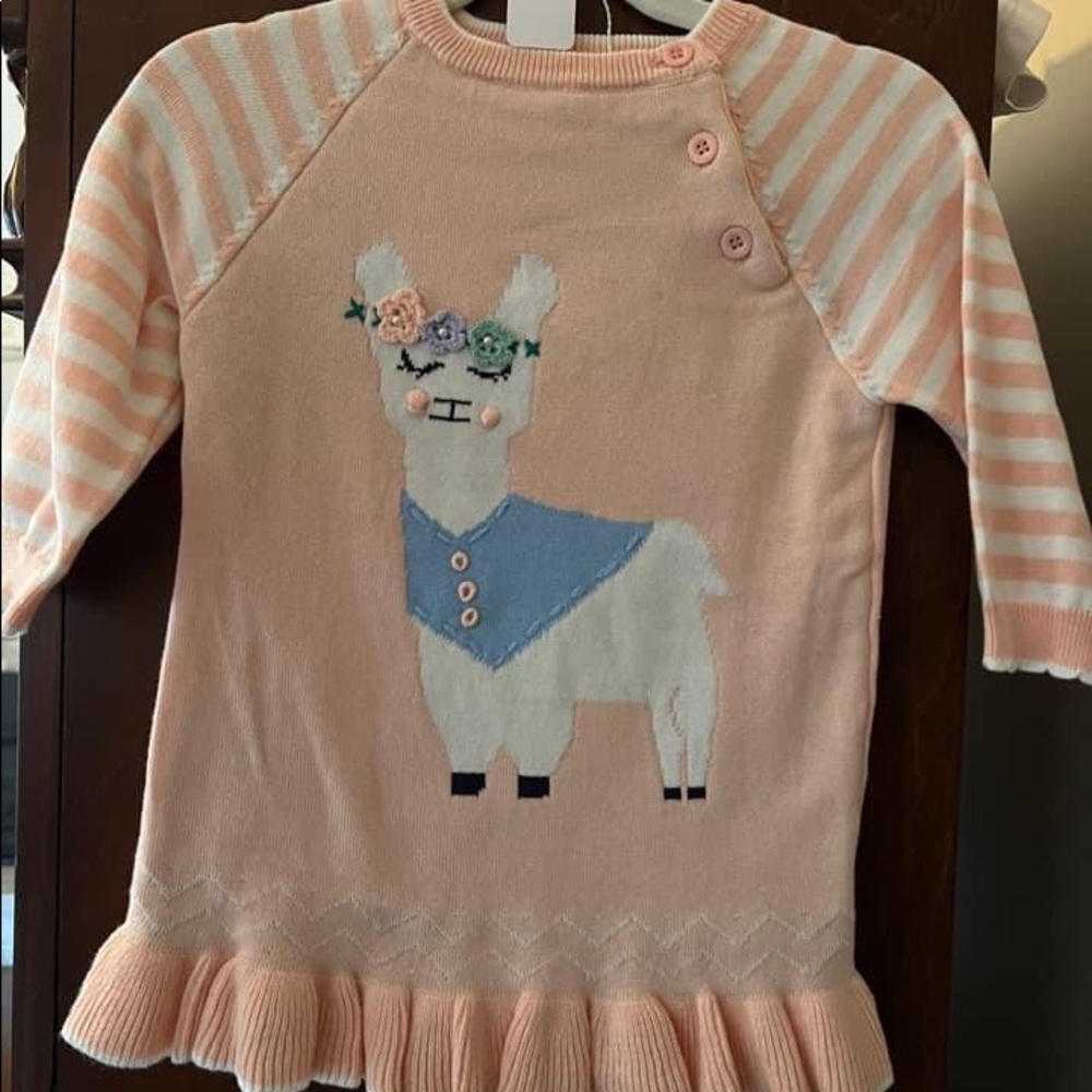 Llama sweater
